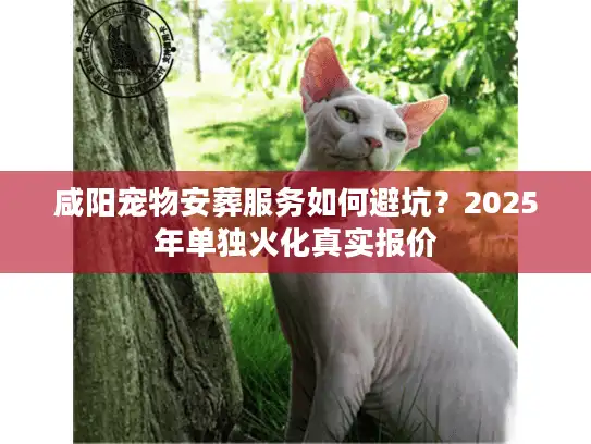 咸阳宠物安葬服务如何避坑？2025年单独火化真实报价
