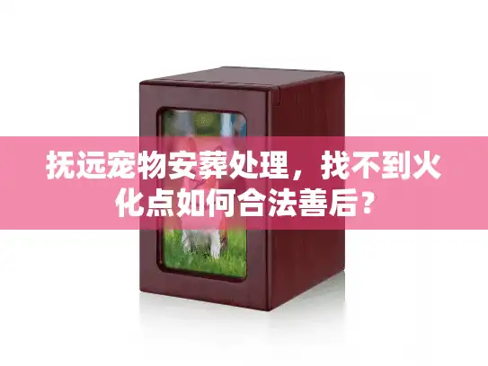 抚远宠物安葬处理，找不到火化点如何合法善后？