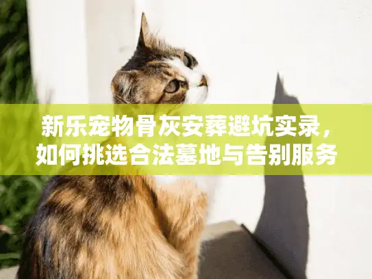 新乐宠物骨灰安葬避坑实录，如何挑选合法墓地与告别服务？