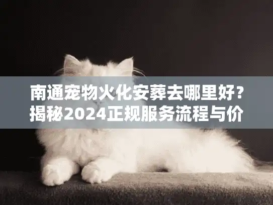 南通宠物火化安葬去哪里好？揭秘2024正规服务流程与价格