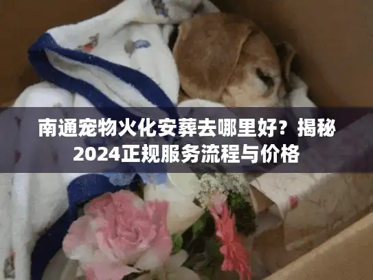 南通宠物火化安葬去哪里好？揭秘2024正规服务流程与价格