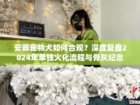 安葬宠物犬如何合规？深度复盘2024年单独火化流程与骨灰纪念