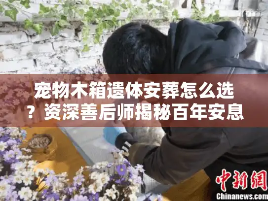 宠物木箱遗体安葬怎么选？资深善后师揭秘百年安息的真相