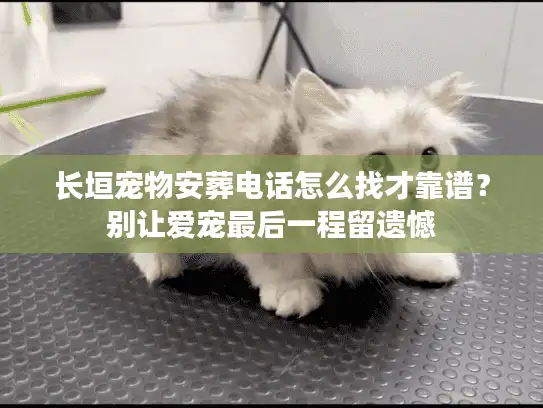 长垣宠物安葬电话怎么找才靠谱？别让爱宠最后一程留遗憾