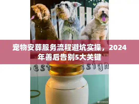 宠物安葬服务流程避坑实操，2024年善后告别5大关键