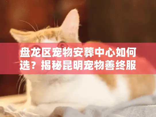 盘龙区宠物安葬中心如何选？揭秘昆明宠物善终服务的真实避坑细节