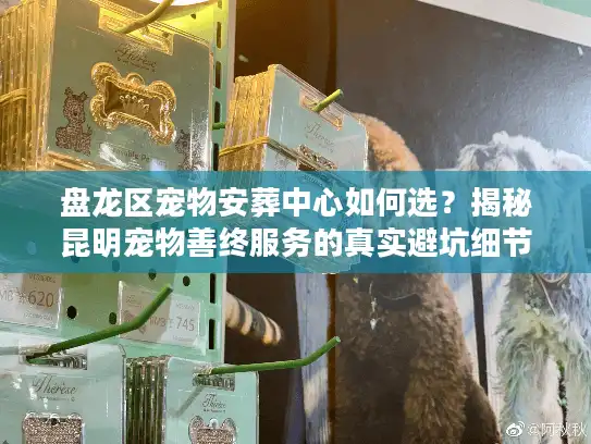 盘龙区宠物安葬中心如何选？揭秘昆明宠物善终服务的真实避坑细节