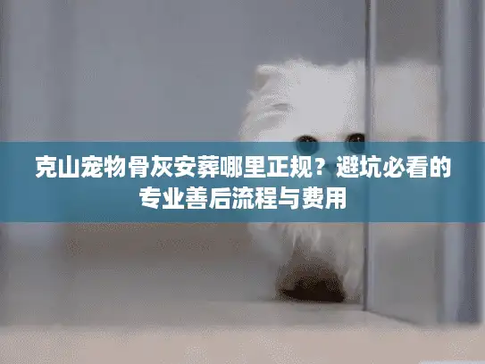 克山宠物骨灰安葬哪里正规？避坑必看的专业善后流程与费用