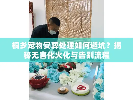 桐乡宠物安葬处理如何避坑？揭秘无害化火化与告别流程