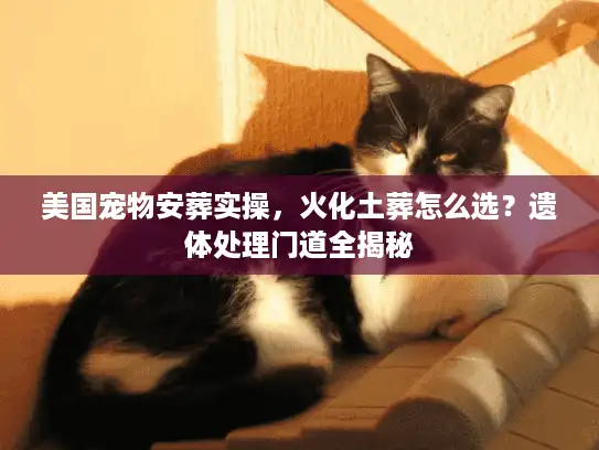 美国宠物安葬实操，火化土葬怎么选？遗体处理门道全揭秘