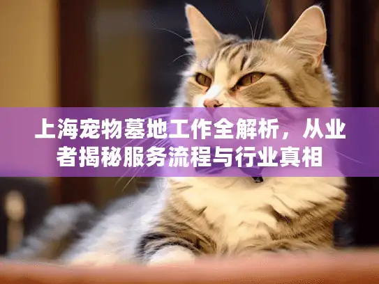 上海宠物墓地工作全解析，从业者揭秘服务流程与行业真相