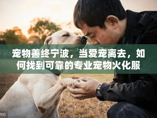 宠物善终宁波，当爱宠离去，如何找到可靠的专业宠物火化服务