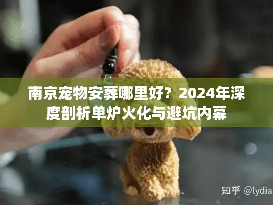 南京宠物安葬哪里好？2024年深度剖析单炉火化与避坑内幕