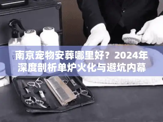 南京宠物安葬哪里好？2024年深度剖析单炉火化与避坑内幕