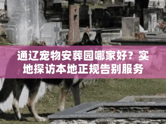 通辽宠物安葬园哪家好？实地探访本地正规告别服务