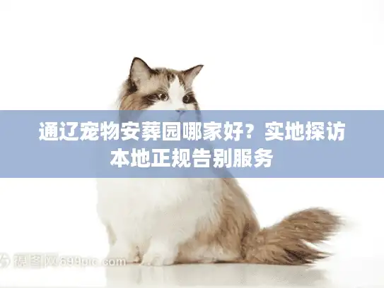 通辽宠物安葬园哪家好？实地探访本地正规告别服务