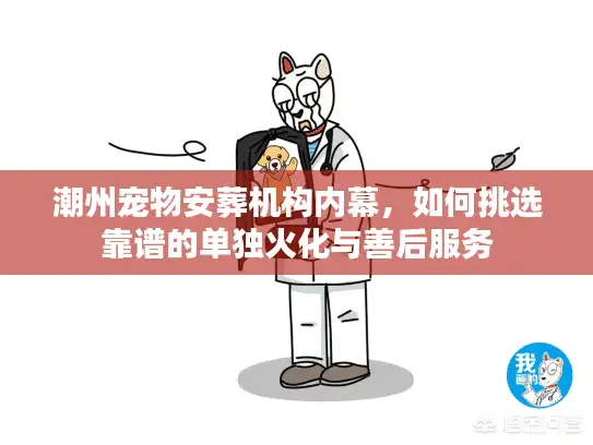 潮州宠物安葬机构内幕，如何挑选靠谱的单独火化与善后服务