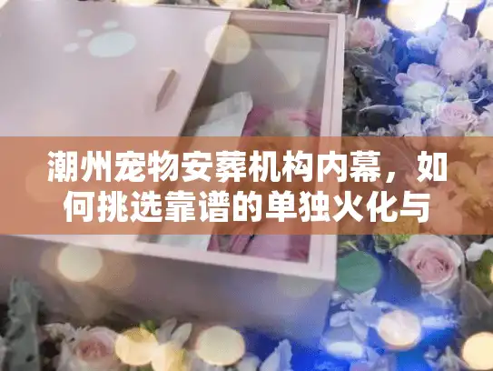 潮州宠物安葬机构内幕，如何挑选靠谱的单独火化与善后服务