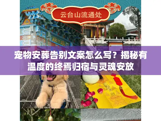 宠物安葬告别文案怎么写？揭秘有温度的终焉归宿与灵魂安放