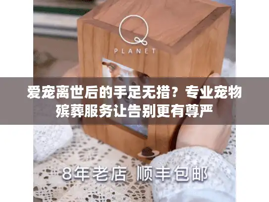 爱宠离世后的手足无措？专业宠物殡葬服务让告别更有尊严