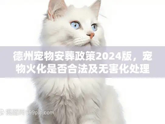 德州宠物安葬政策2024版，宠物火化是否合法及无害化处理全揭秘