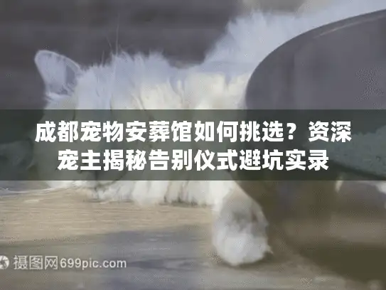 成都宠物安葬馆如何挑选？资深宠主揭秘告别仪式避坑实录