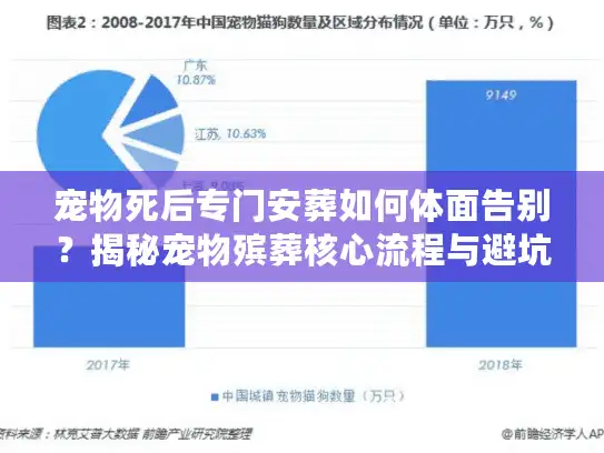 宠物死后专门安葬如何体面告别？揭秘宠物殡葬核心流程与避坑