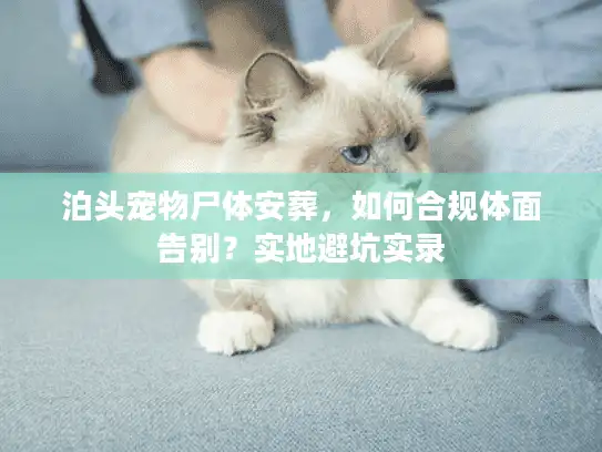 泊头宠物尸体安葬，如何合规体面告别？实地避坑实录