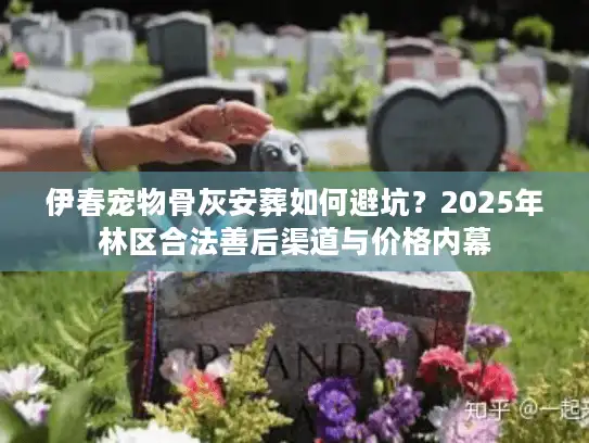 伊春宠物骨灰安葬如何避坑？2025年林区合法善后渠道与价格内幕