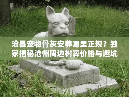 沧县宠物骨灰安葬哪里正规？独家揭秘沧州周边树葬价格与避坑门道