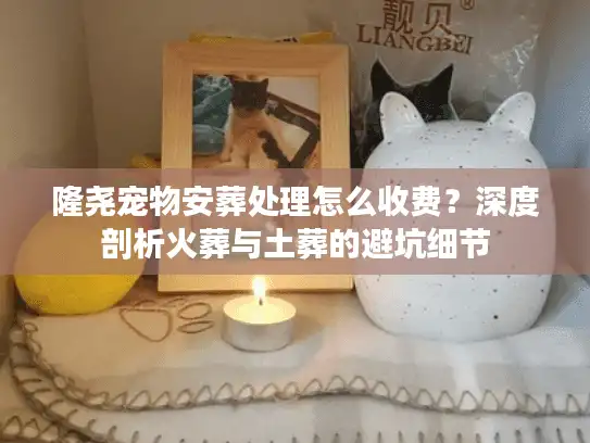 隆尧宠物安葬处理怎么收费？深度剖析火葬与土葬的避坑细节