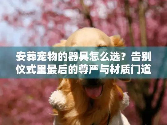 安葬宠物的器具怎么选？告别仪式里最后的尊严与材质门道