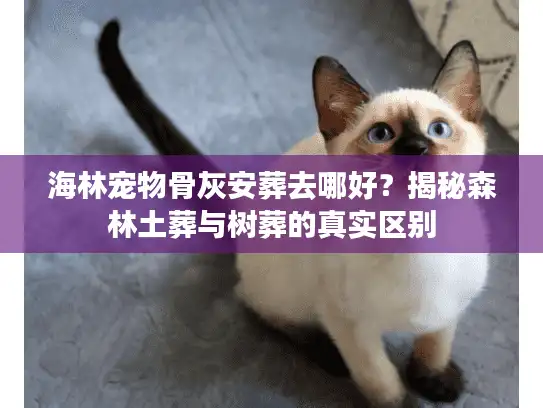 海林宠物骨灰安葬去哪好？揭秘森林土葬与树葬的真实区别