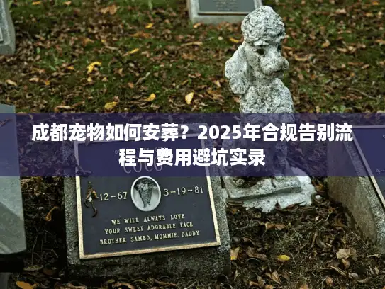 成都宠物如何安葬？2025年合规告别流程与费用避坑实录