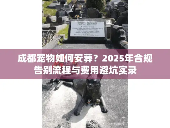 成都宠物如何安葬？2025年合规告别流程与费用避坑实录