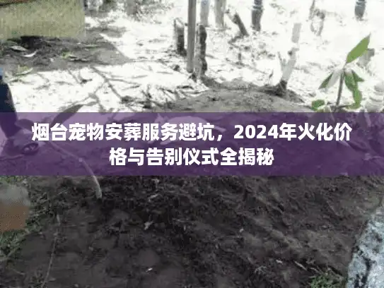 烟台宠物安葬服务避坑，2024年火化价格与告别仪式全揭秘