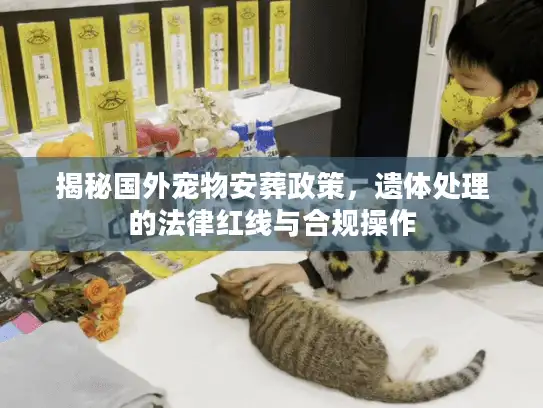 揭秘国外宠物安葬政策，遗体处理的法律红线与合规操作