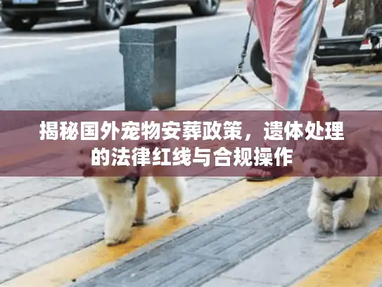 揭秘国外宠物安葬政策，遗体处理的法律红线与合规操作