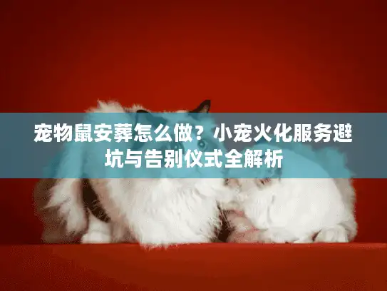 宠物鼠安葬怎么做？小宠火化服务避坑与告别仪式全解析