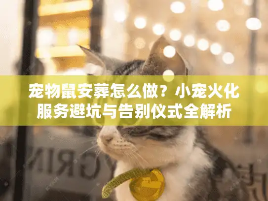 宠物鼠安葬怎么做？小宠火化服务避坑与告别仪式全解析