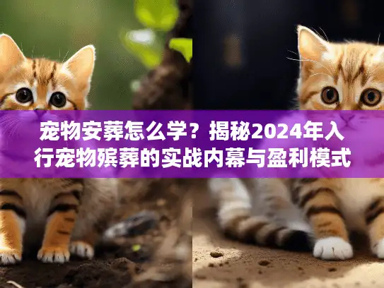 宠物安葬怎么学？揭秘2024年入行宠物殡葬的实战内幕与盈利模式