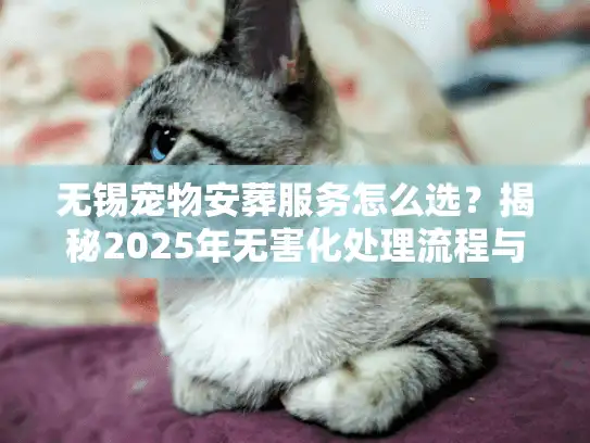无锡宠物安葬服务怎么选？揭秘2025年无害化处理流程与避坑真相