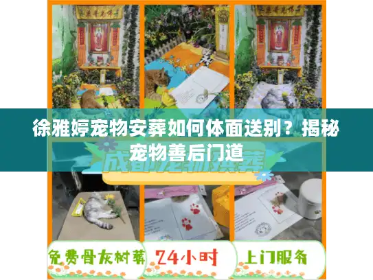 徐雅婷宠物安葬如何体面送别？揭秘宠物善后门道