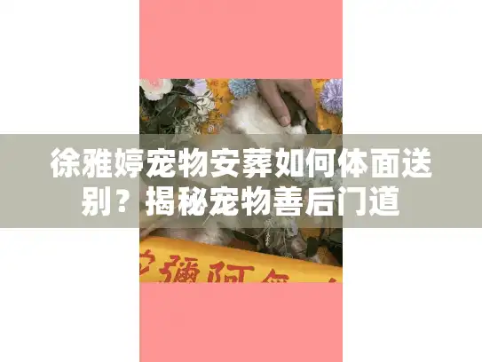 徐雅婷宠物安葬如何体面送别？揭秘宠物善后门道