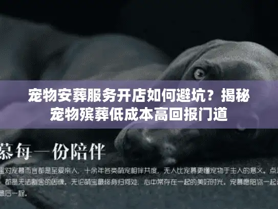 宠物安葬服务开店如何避坑？揭秘宠物殡葬低成本高回报门道