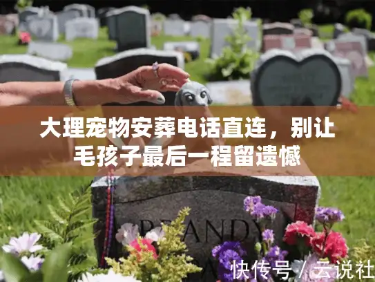 大理宠物安葬电话直连，别让毛孩子最后一程留遗憾