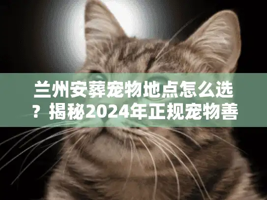 兰州安葬宠物地点怎么选？揭秘2024年正规宠物善后服务与价格