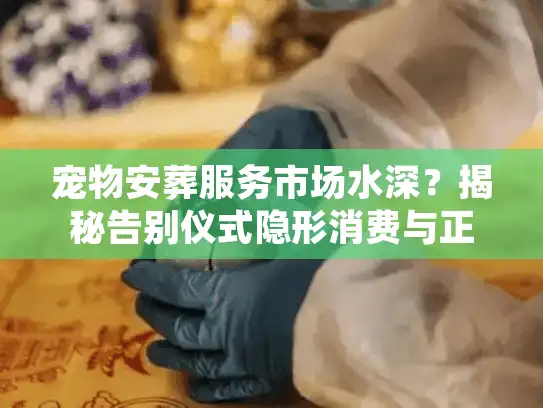宠物安葬服务市场水深？揭秘告别仪式隐形消费与正规流程