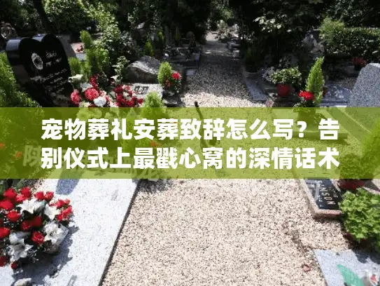 宠物葬礼安葬致辞怎么写？告别仪式上最戳心窝的深情话术