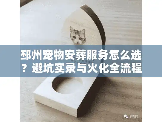 邳州宠物安葬服务怎么选？避坑实录与火化全流程